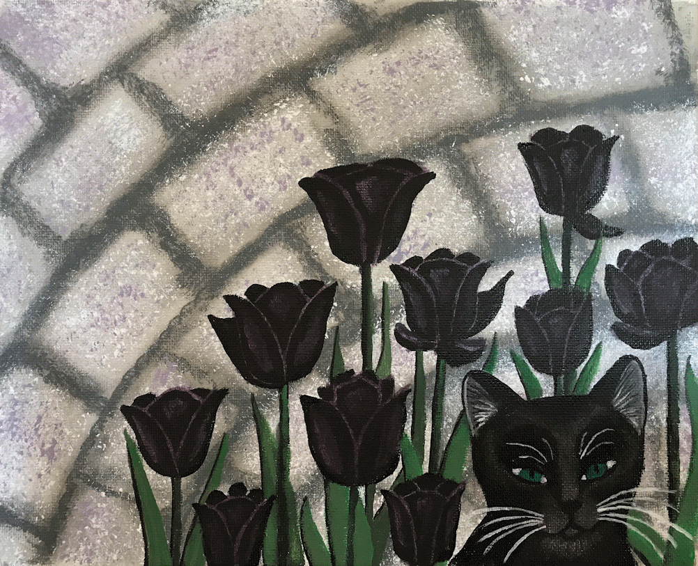 Black Cat & Tulips