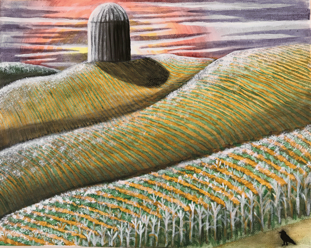 Hilly Corn Field & Crow