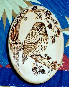 Owl